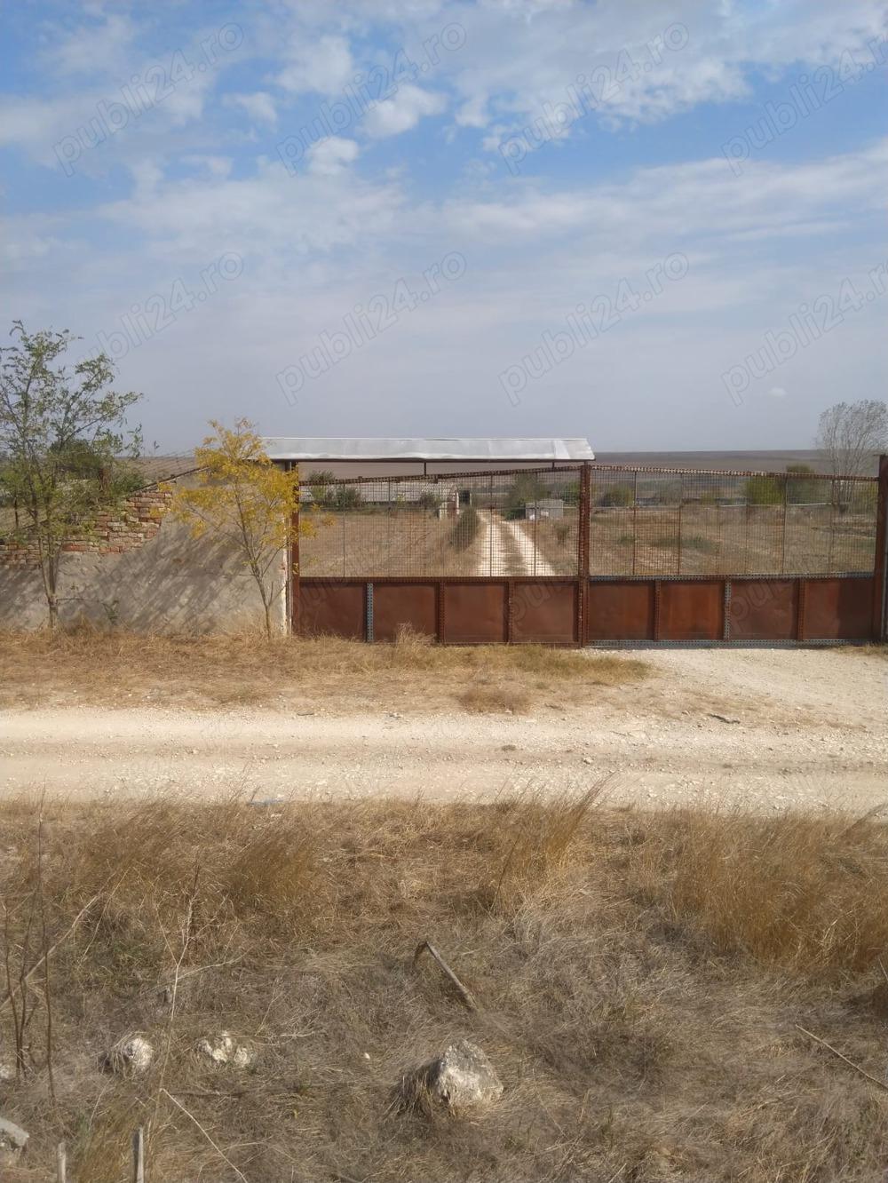 Vând FERMA cu teren 4 hectare  Plopeni  Constanta