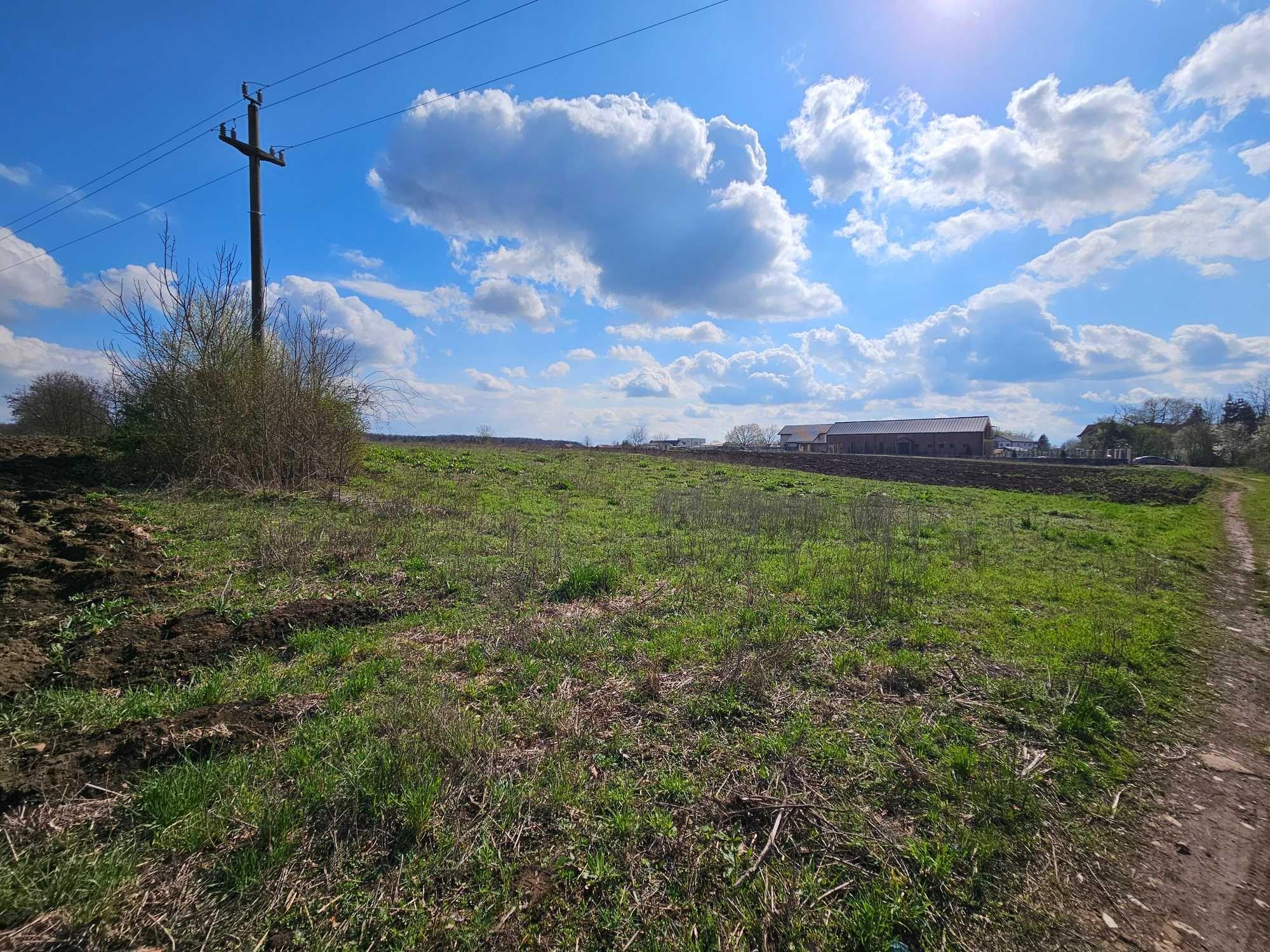 Teren intravilan Snagov Sat – lângă Pădurea Snagov | Preț negociabil - imagine 1