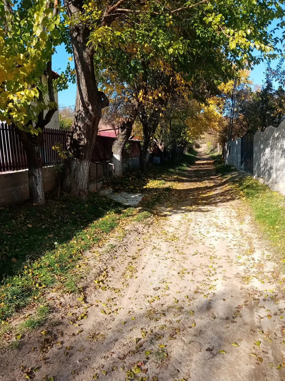 Casă de vânzare în Vladimir, Gorj - imagine 1