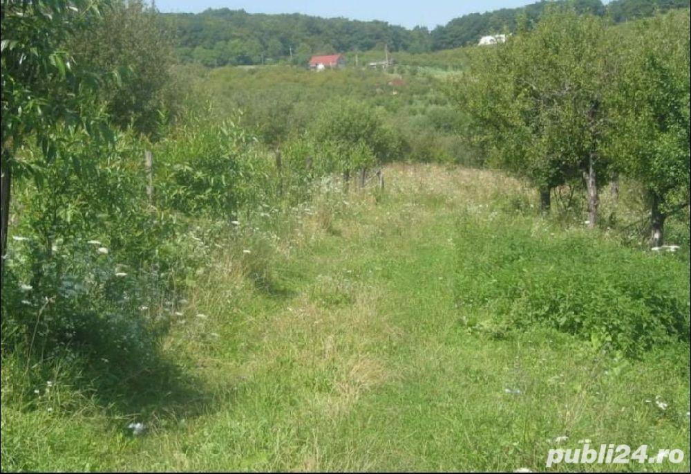 Vanzare teren