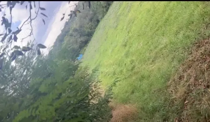 teren intravilan Bistrita str Ghinzii