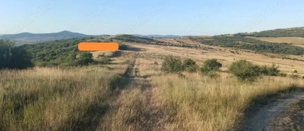 Teren extravilan ,suprafața de 4000 mp (40 ari)zona Motocros Cighir - imagine 1