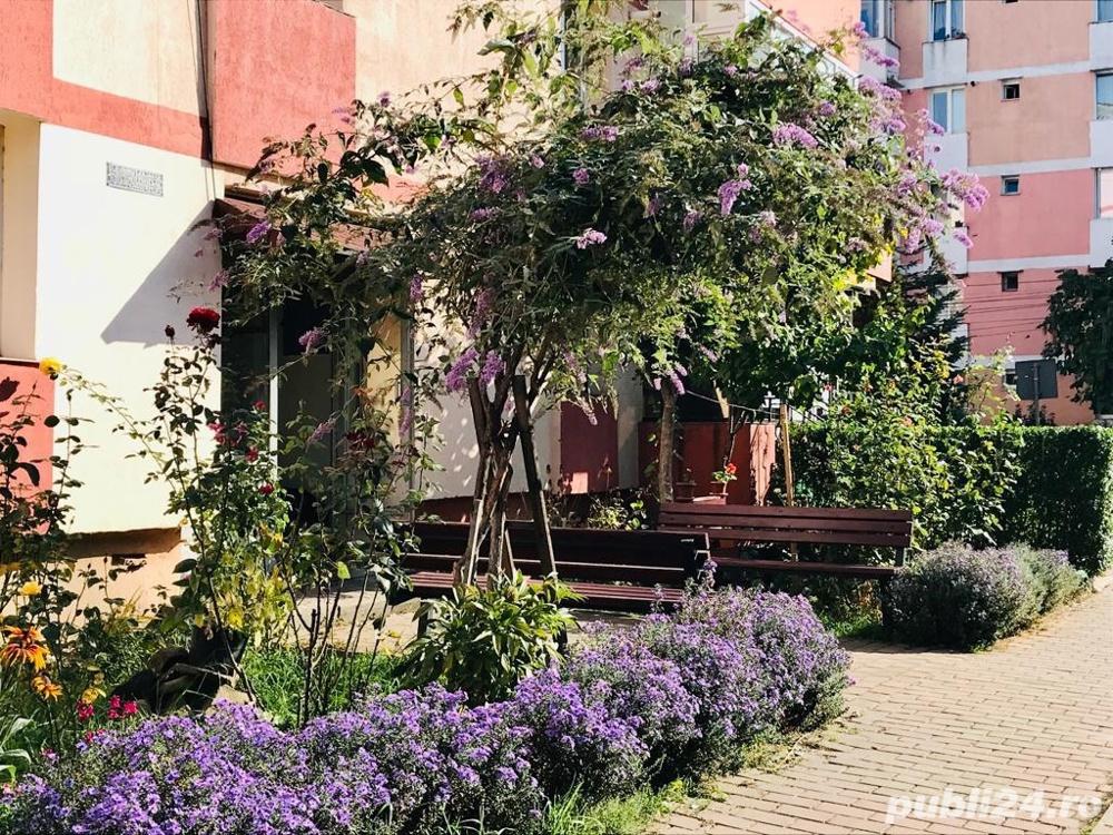 Apartament Precista