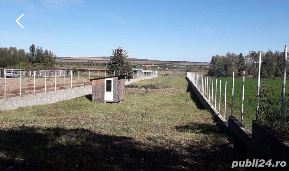 Teren intravilan de vanzare