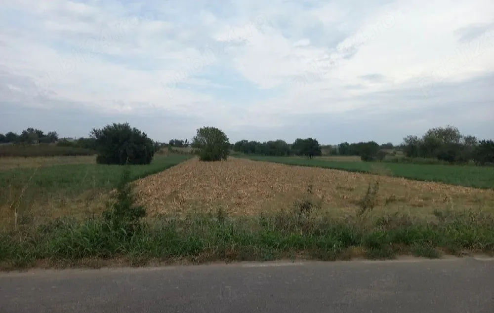 teren de vânzare