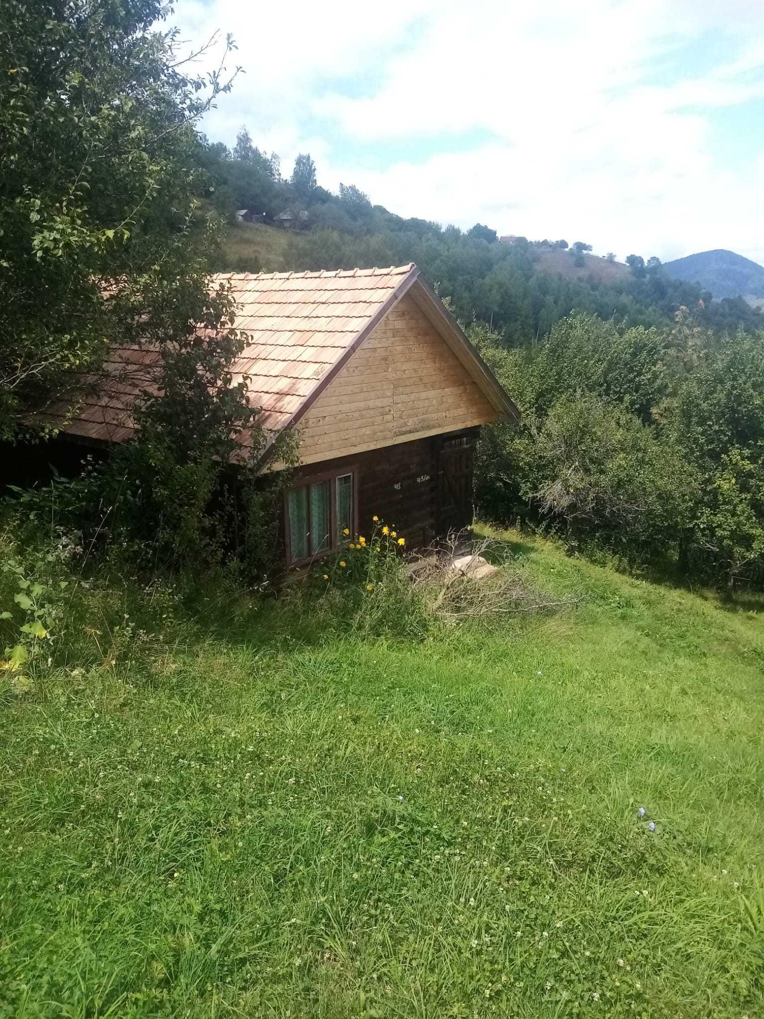 Vând teren intravilan și casa in Muntele Rece Cluj