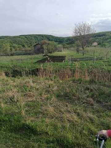 Vand teren extravilan in Floresti (1100m2)