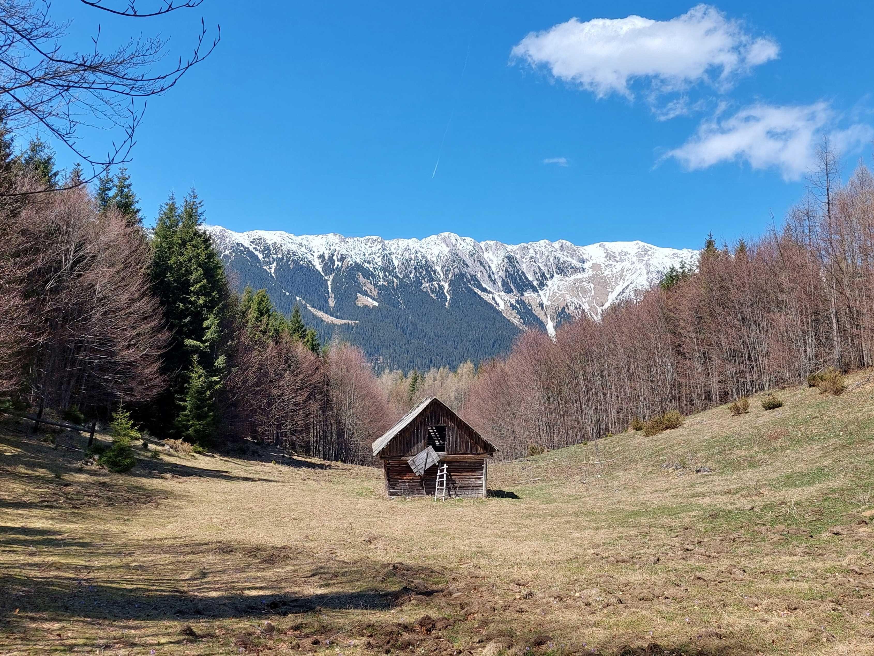 Teren Ciocanu Sirnea