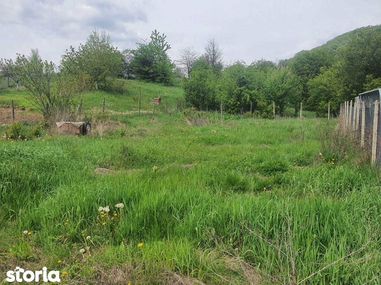 Teren intravilan 428 mp zona Troianu, Rm. Valcea + cotă drum