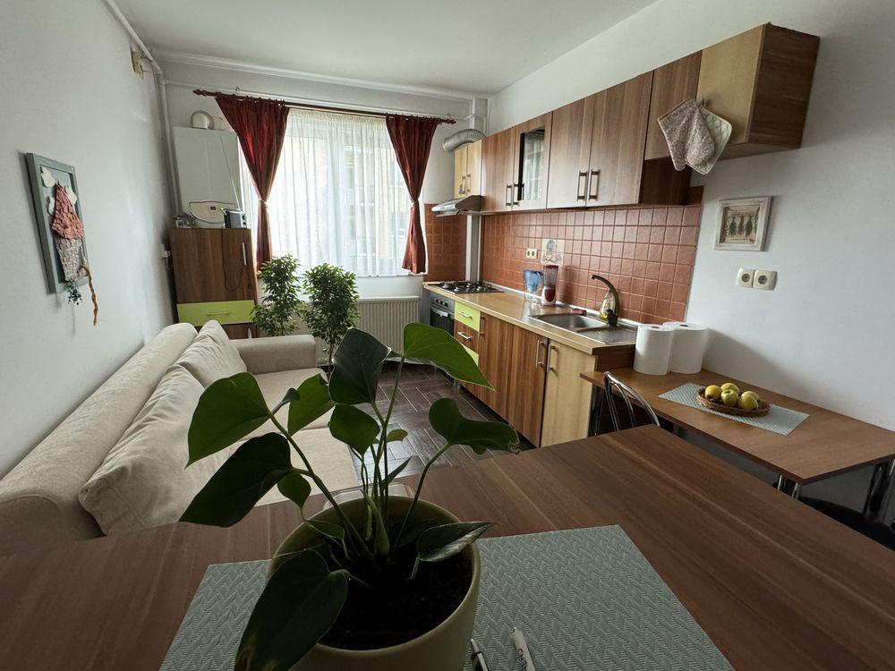 Inchiriez studio Str. Frunzei, Turnisor