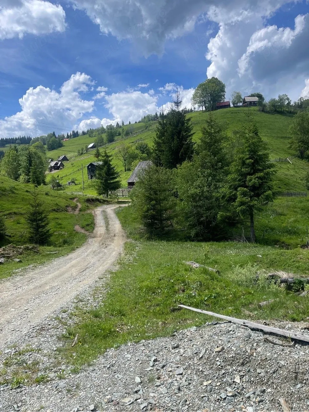 Teren muntele Bocului Baisoara Cluj intravilan constructii