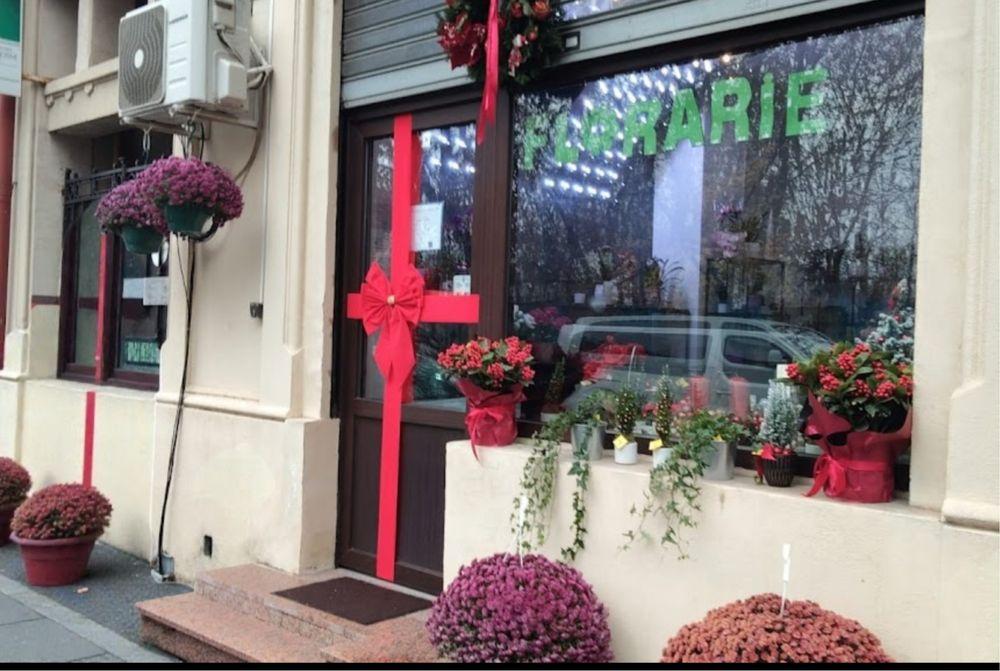 Închiriere Spațiu Comercial Piața Victoriei