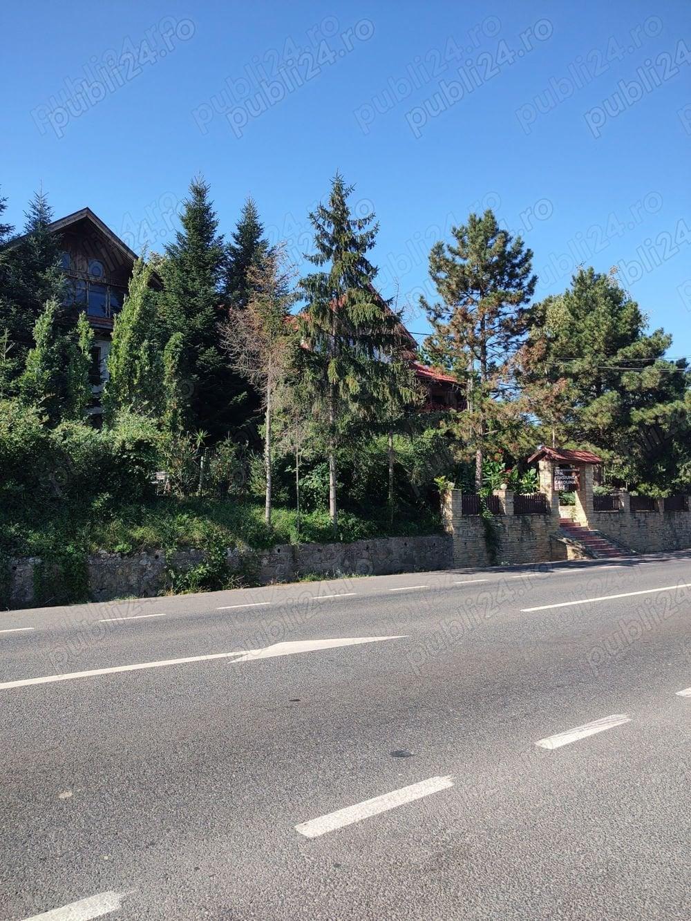 Teren Copou,1300 mp.intravilan Iasi