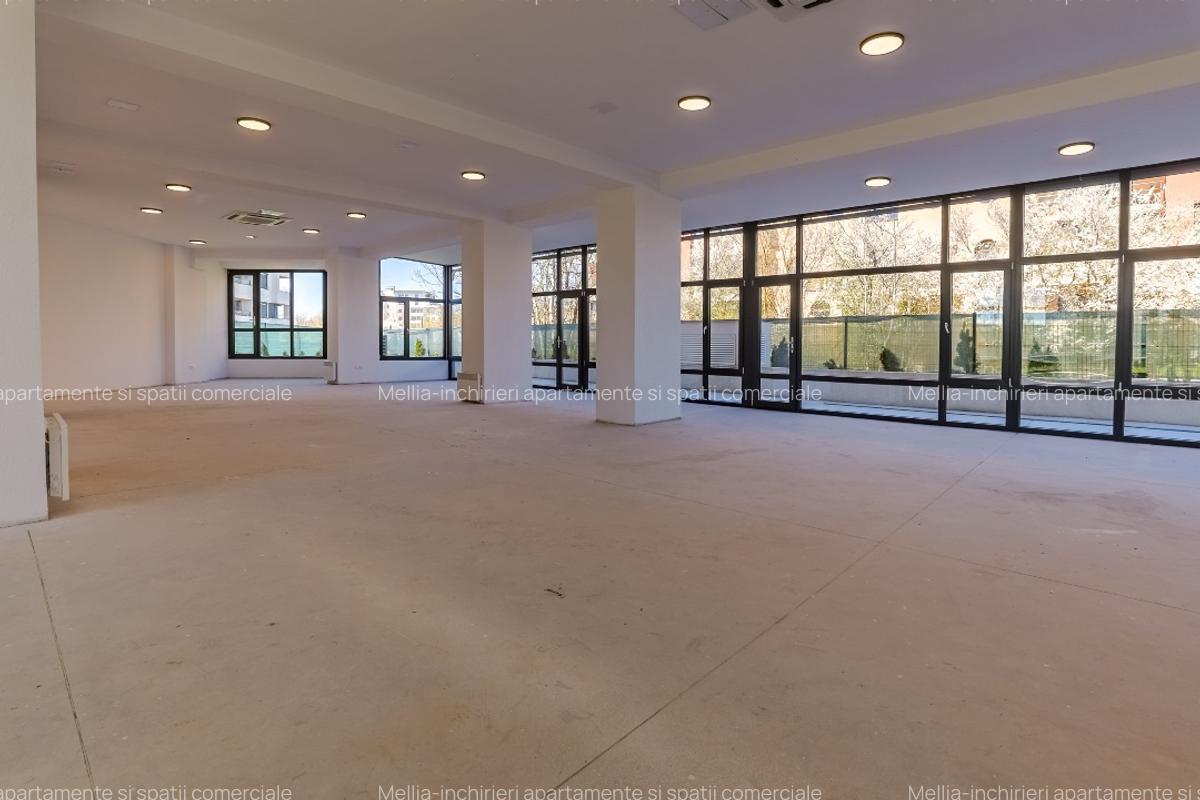 Spatiu Comercial 220 mp + Curte + Terasa | Sector 1 | Ideal birouri / Showroom