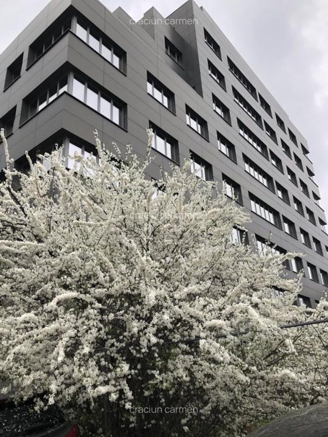 Birouri intersectie Timpuri Noi, suprafata de  la 250mp la 3400mp