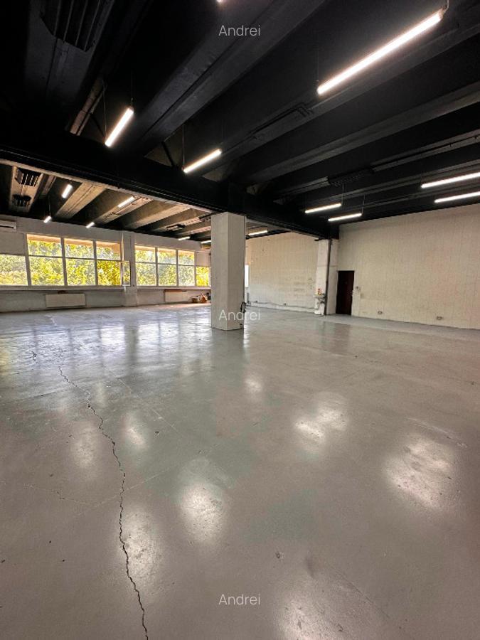 Spatiu comercial/industrial Theodor Pallady IOR