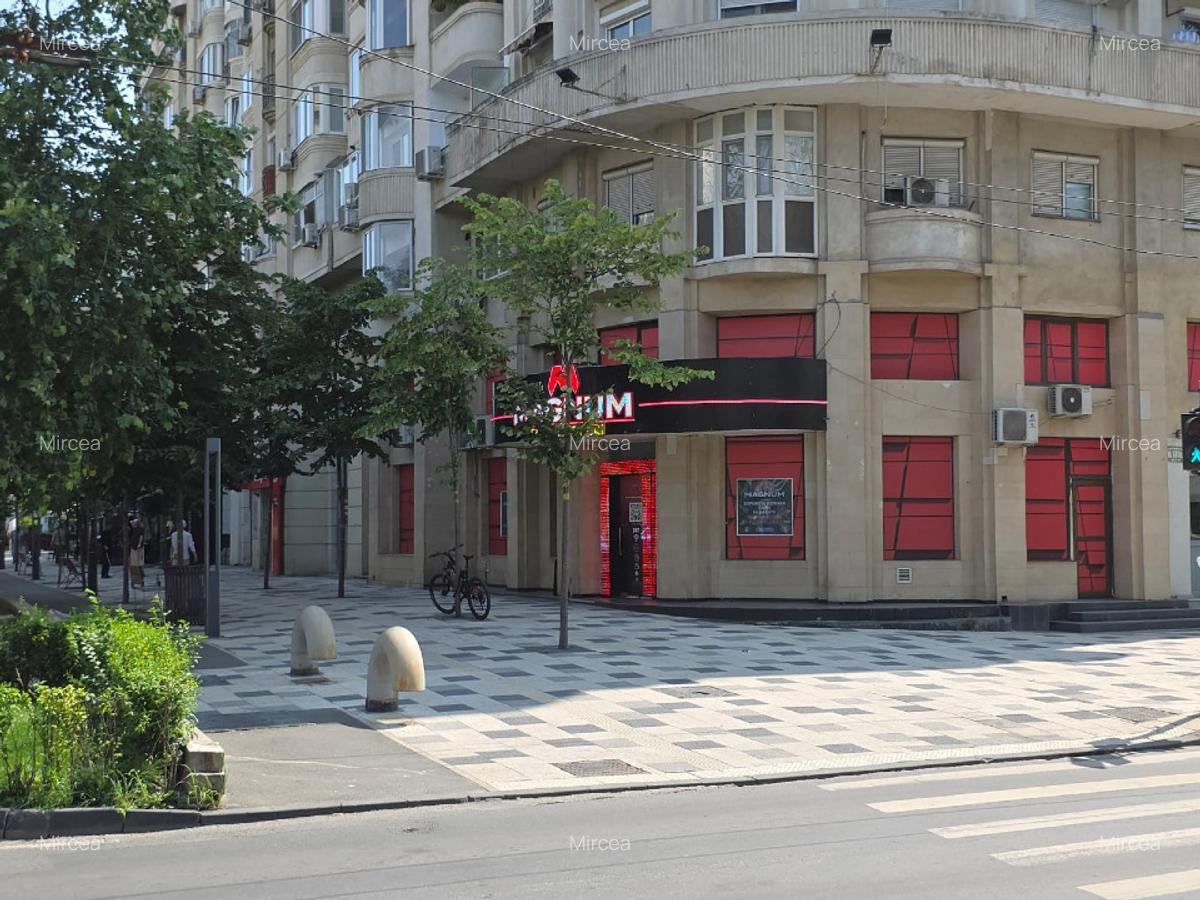 SPATIU COMERCIAL, BD. DECEBAL - PIATA ALBA IULIA - imagine 1