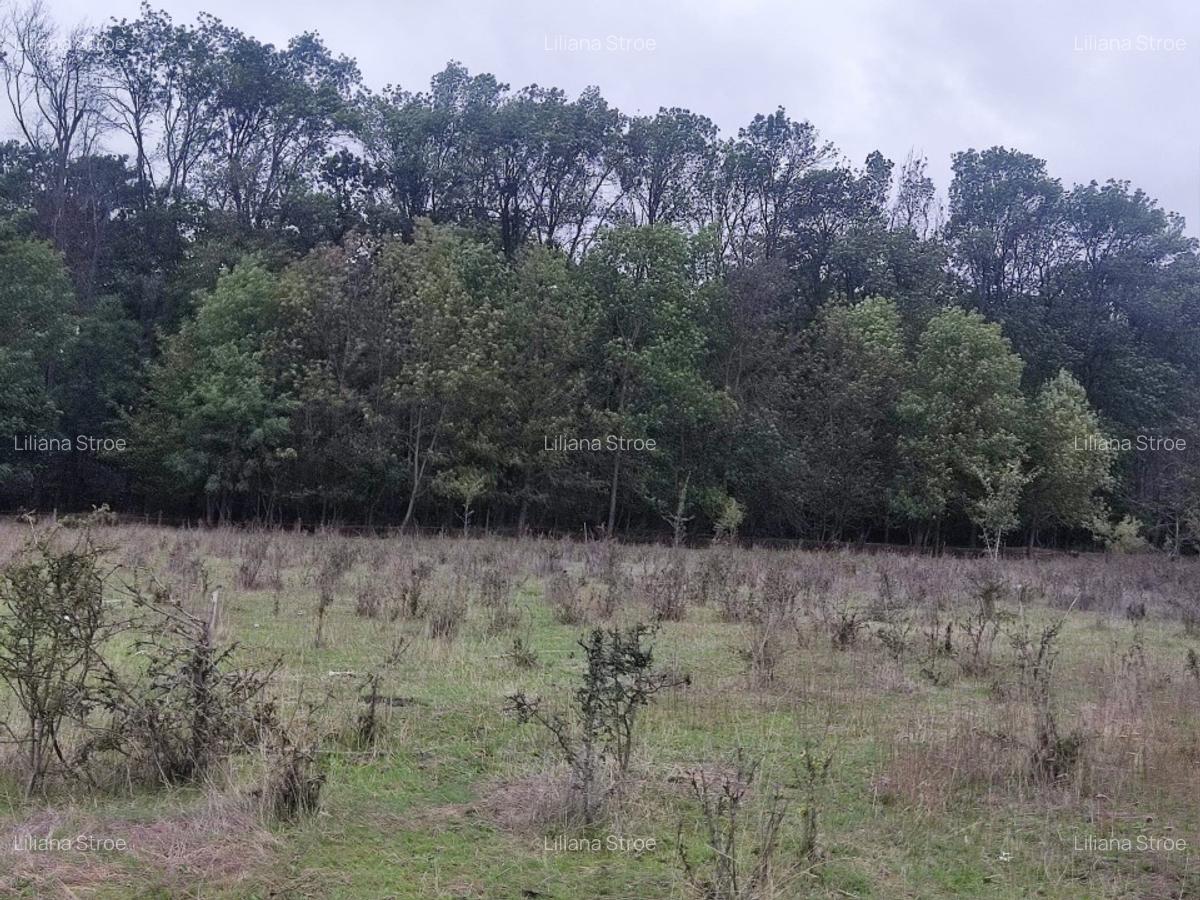 Proprietar,Sos.Pipera,lângă pădurea Băneasa,teren 950mp,vile MANOR,Oxford Gard.