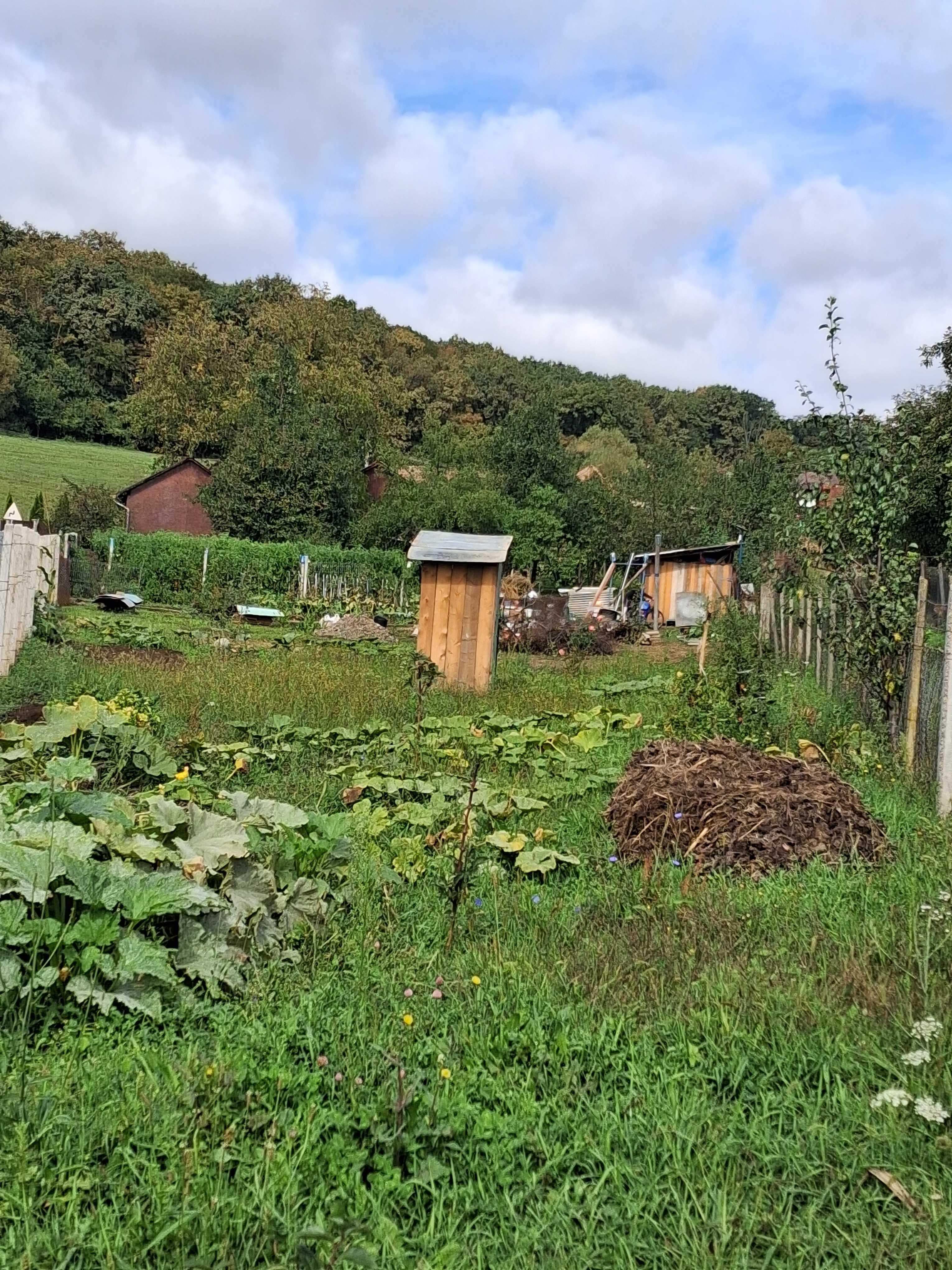 Teren intravilan cu aprobare PUZ în TG MUREȘ TG Mures