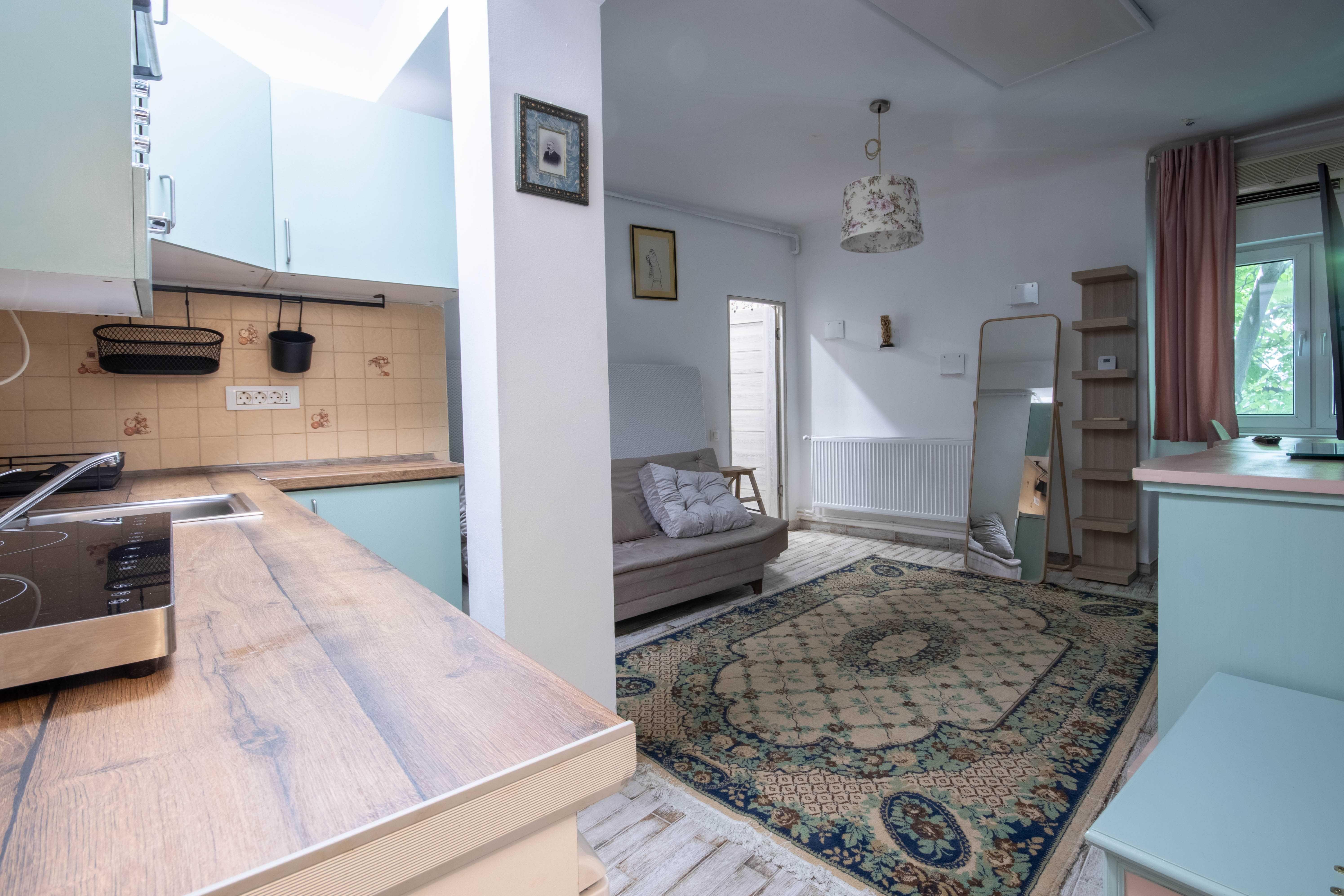 Studio Open-Space Piața Romană - ASE | Pet Friendly