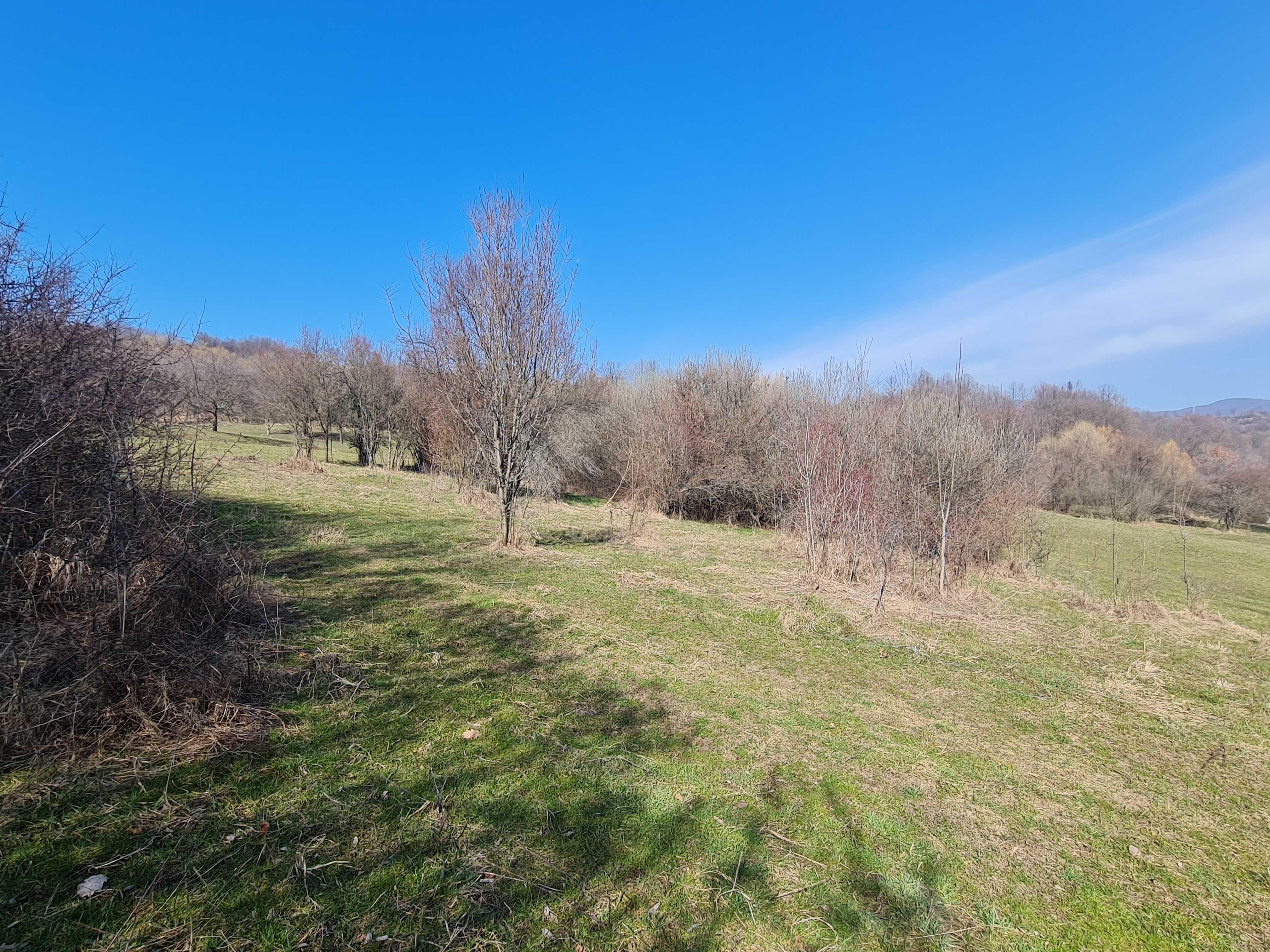 Teren pt cabana , picnic , relaxare , liniste , natura .