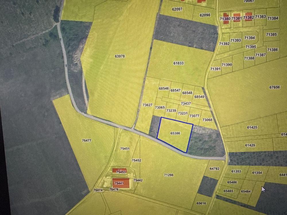 Teren de vanzare - Visani, Barnova -2700 mp