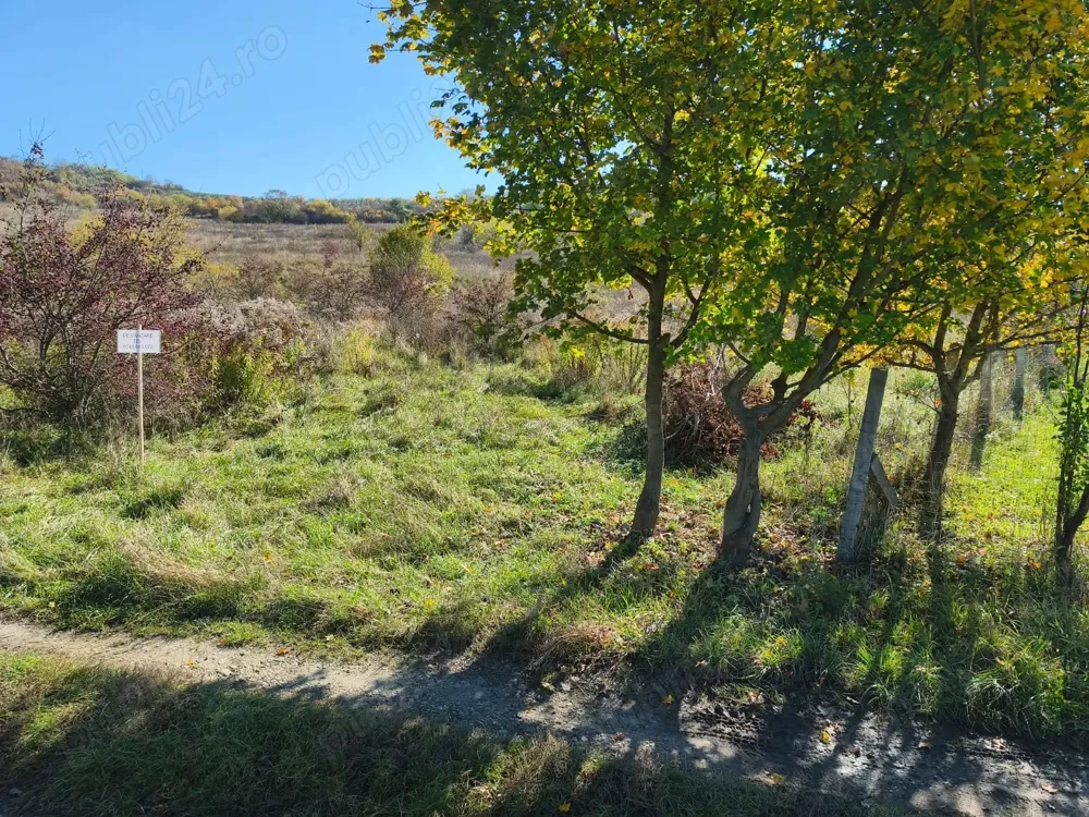 Vând teren intravilan în Târgu Mureș suprafață de 1598 mp. zona Dedeman