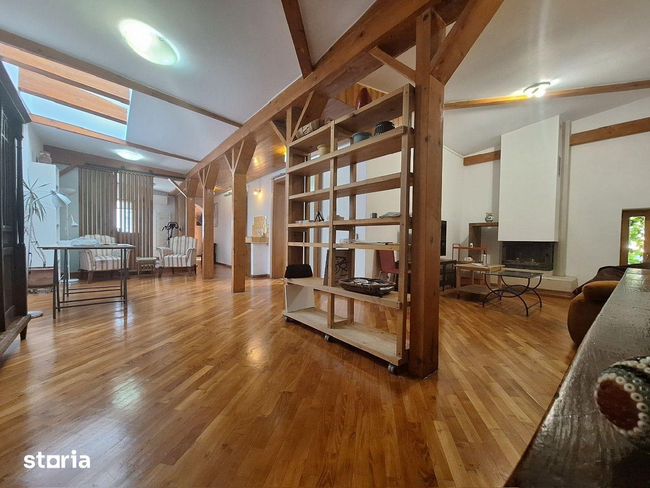 Rare Artist's Loft and Studio/ Atelier open space - imagine 1