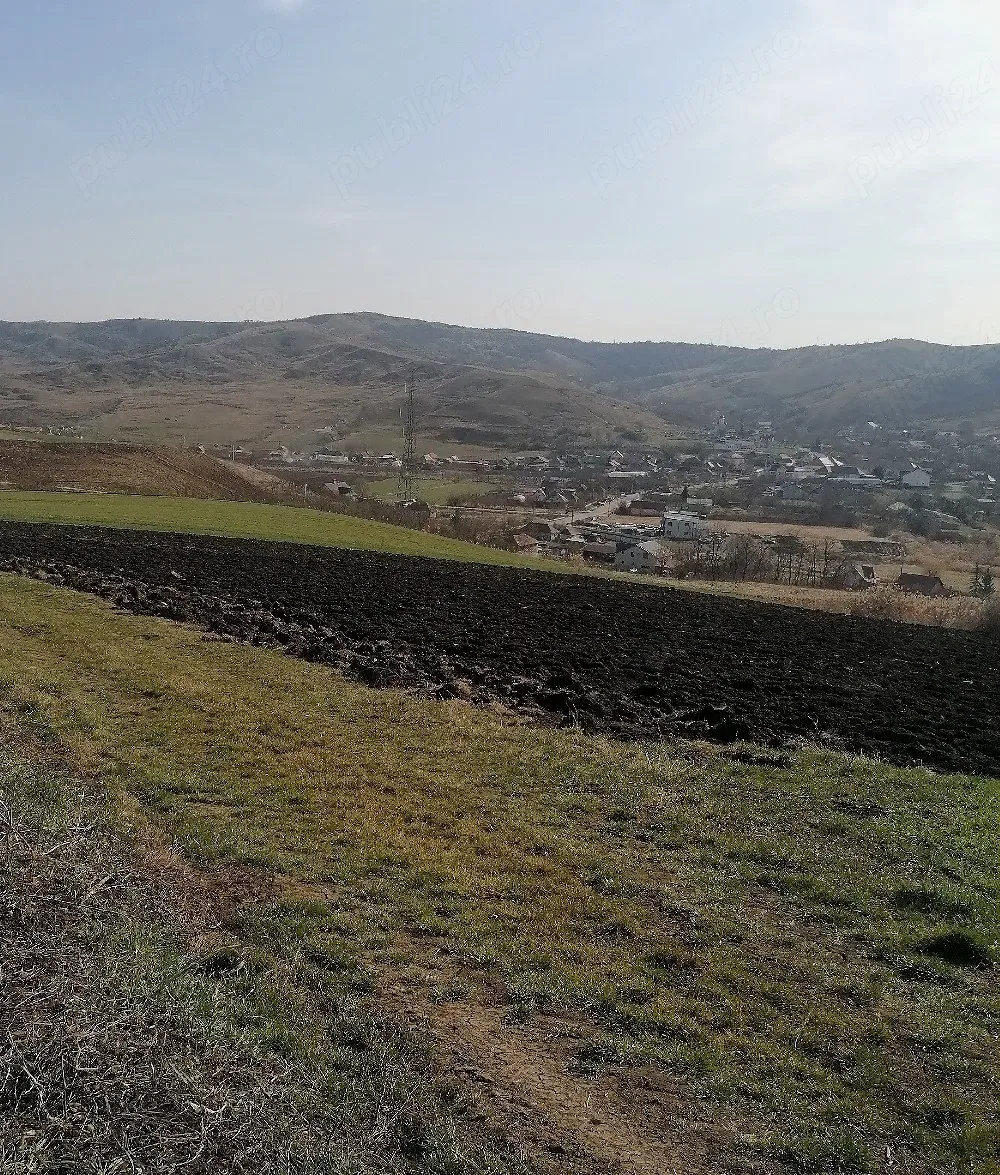 Vând 11600 mp. teren în Gadalin (Jucu) suprafață formata din 3 parcele-20 Eur mp neg. - imagine 1