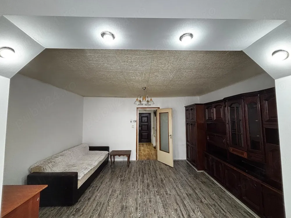 Apartament 1 camera, Dambu - imagine 1