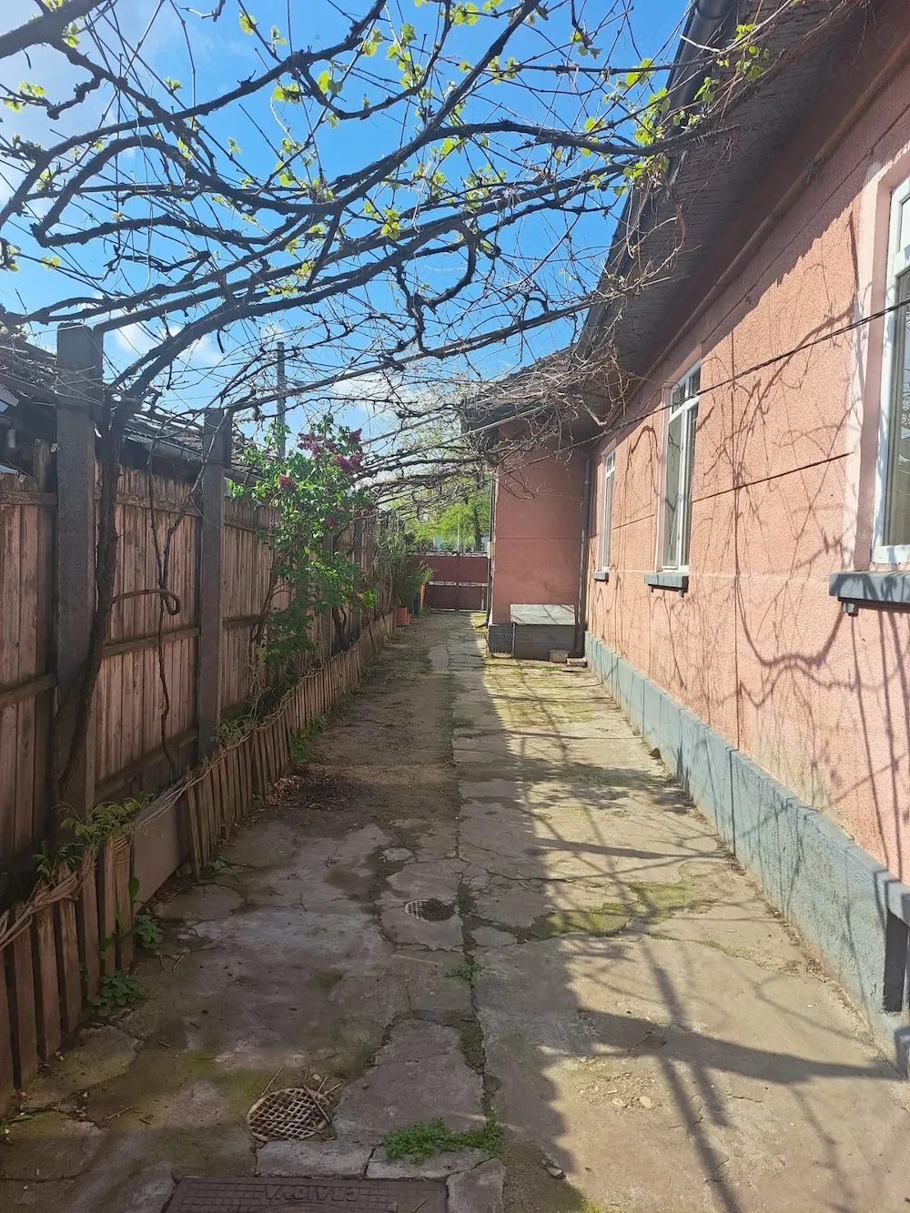 Casa str Cîmpia Islaz - imagine 1