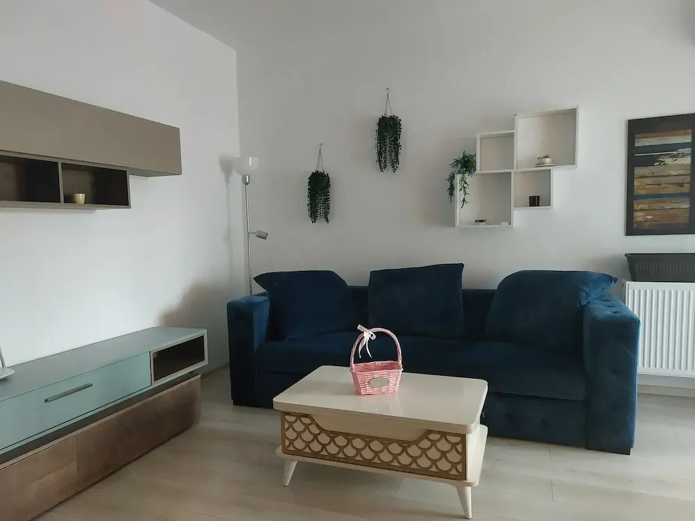 Inchiriere apartament 2 camere centrala proprie zona Unirii - Carol - Viilor