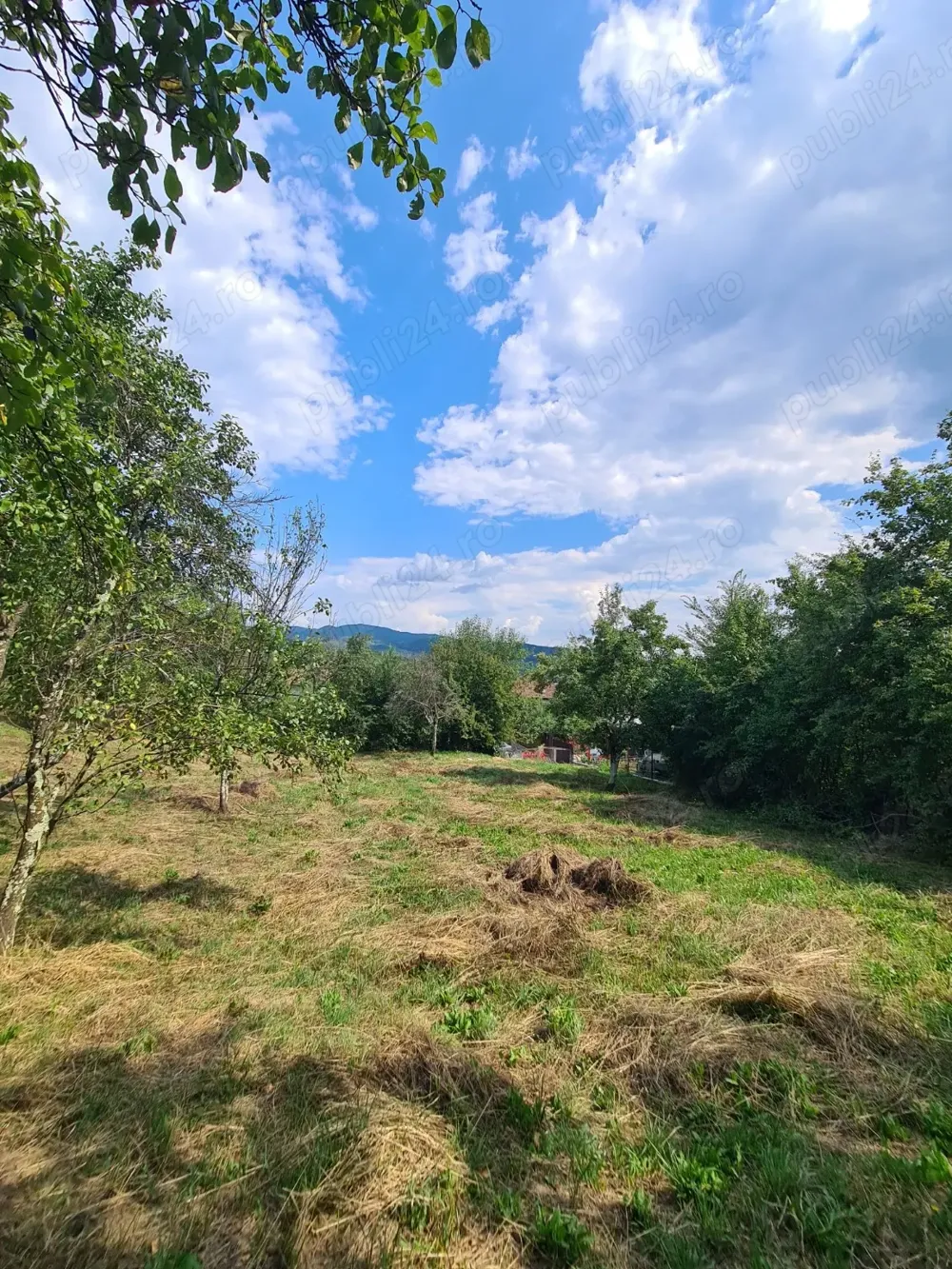 Teren intravilan 3900 m de vânzare Călimănești, Jiblea Veche