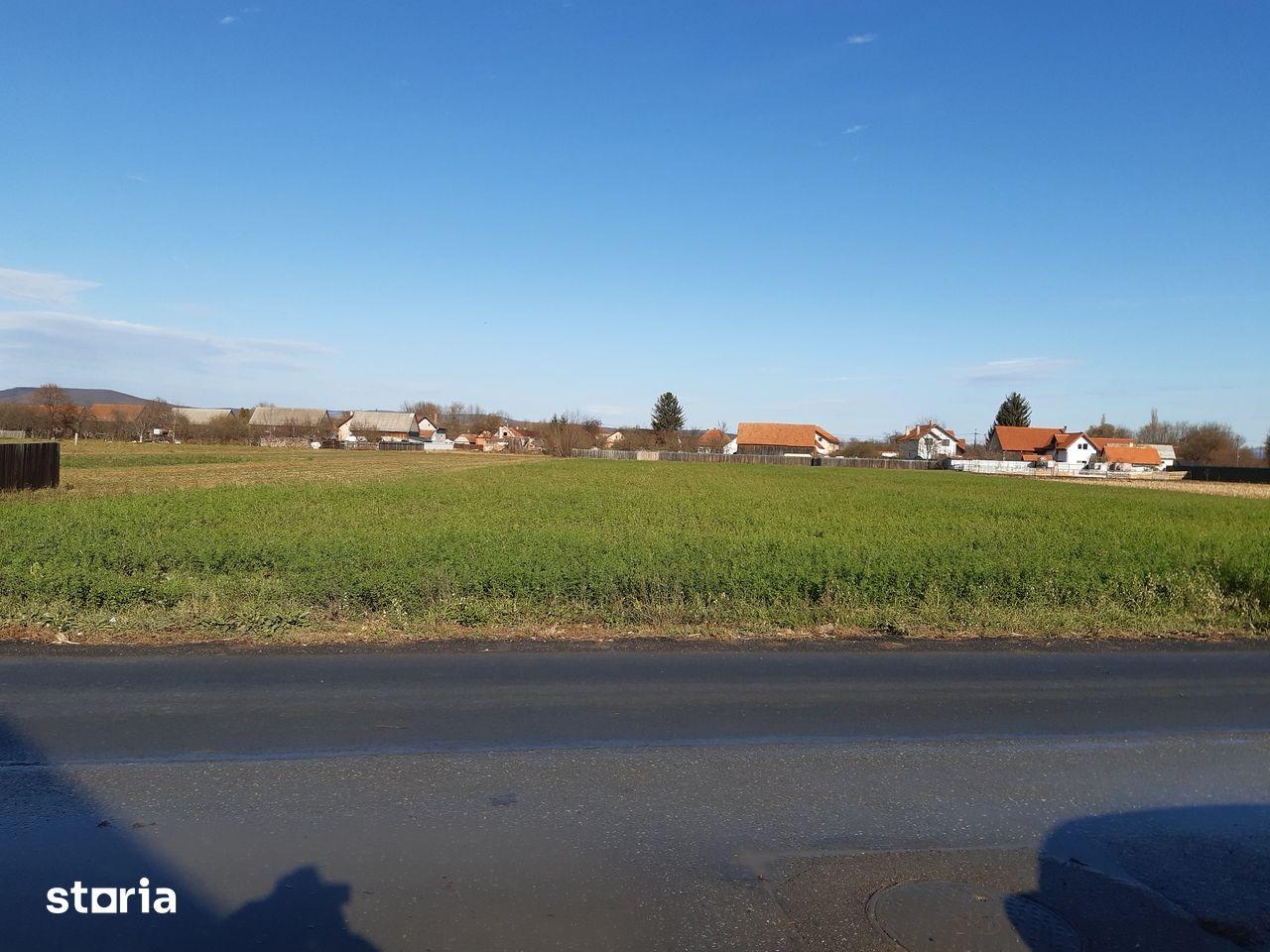 Vand teren intravilan construibil bine pozitionat in Lunca Calnicului - imagine 1