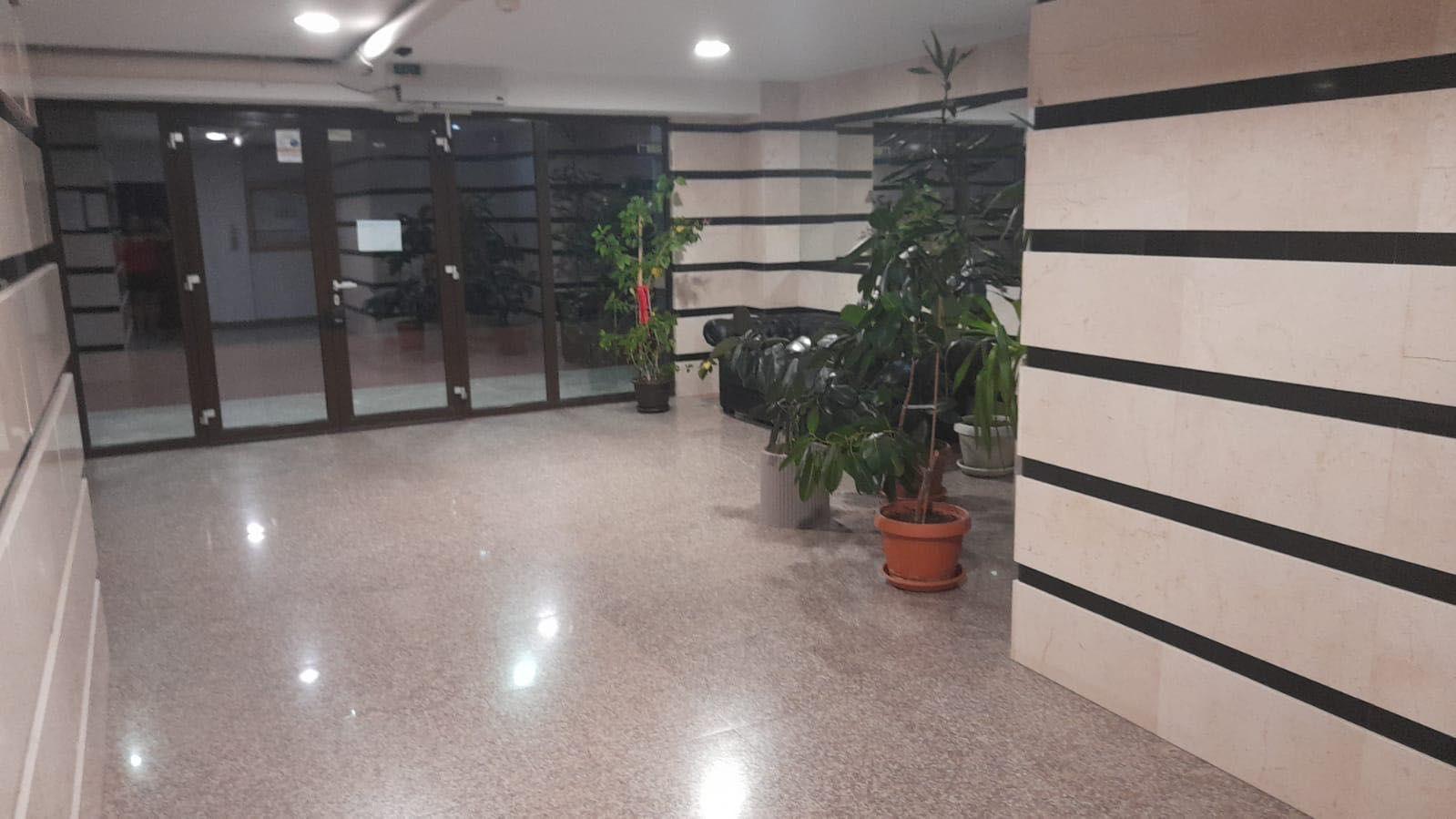 Studio, Faleză Nord- termen lung