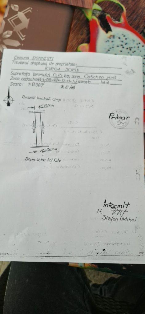 Teren de vanzare Domnești ilfov strada Duculescu 1600 mp - imagine 1