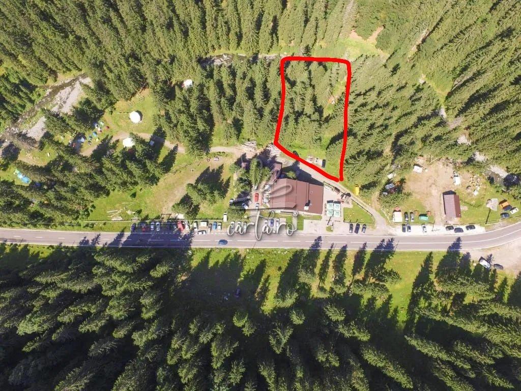 Teren de Vanzare  Transfagarasan-Arges, zona Conacul Ursului.