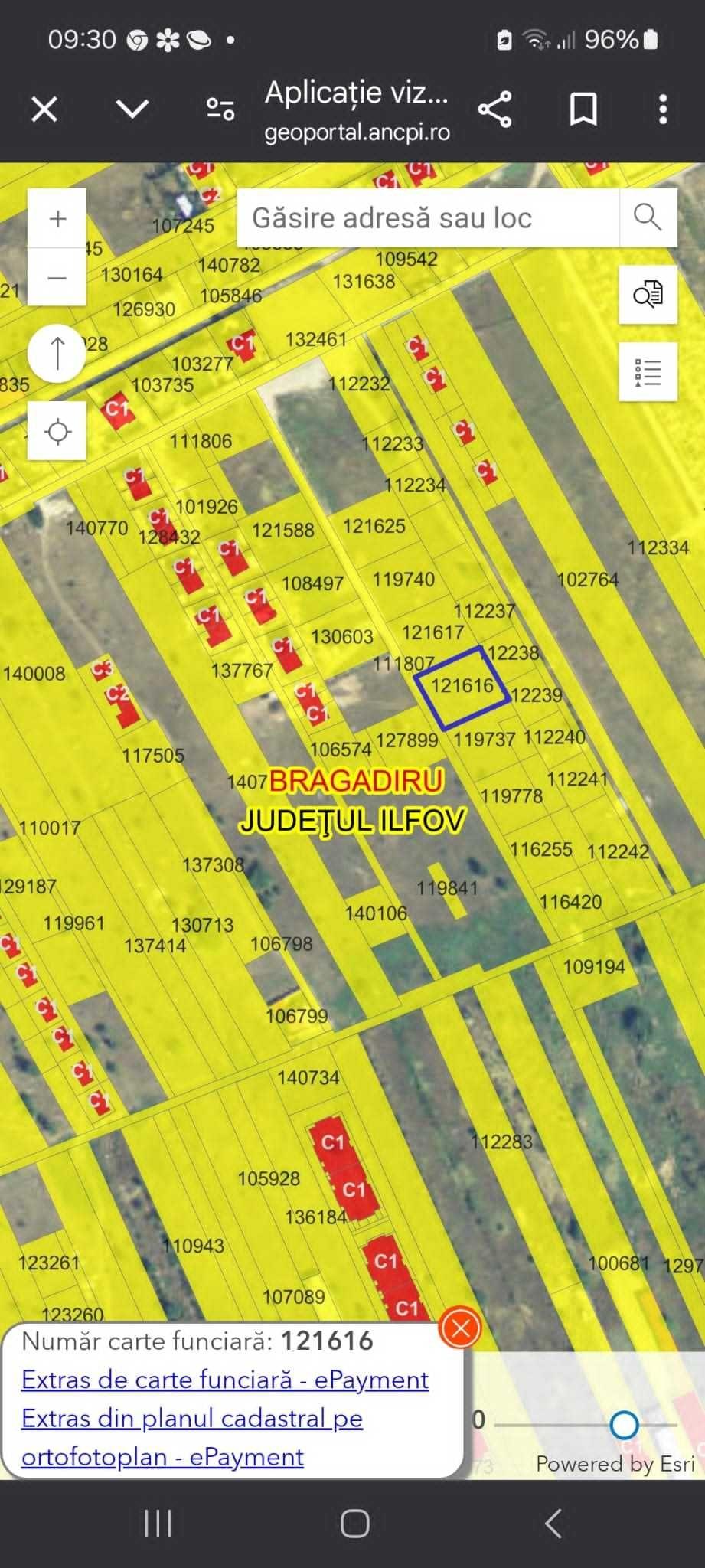 Teren Bragadiru  Strada safirului  4000 metri cu 34 deschidere  gaze ,lumină ,canalizare 105 euro, mp - imagine 1