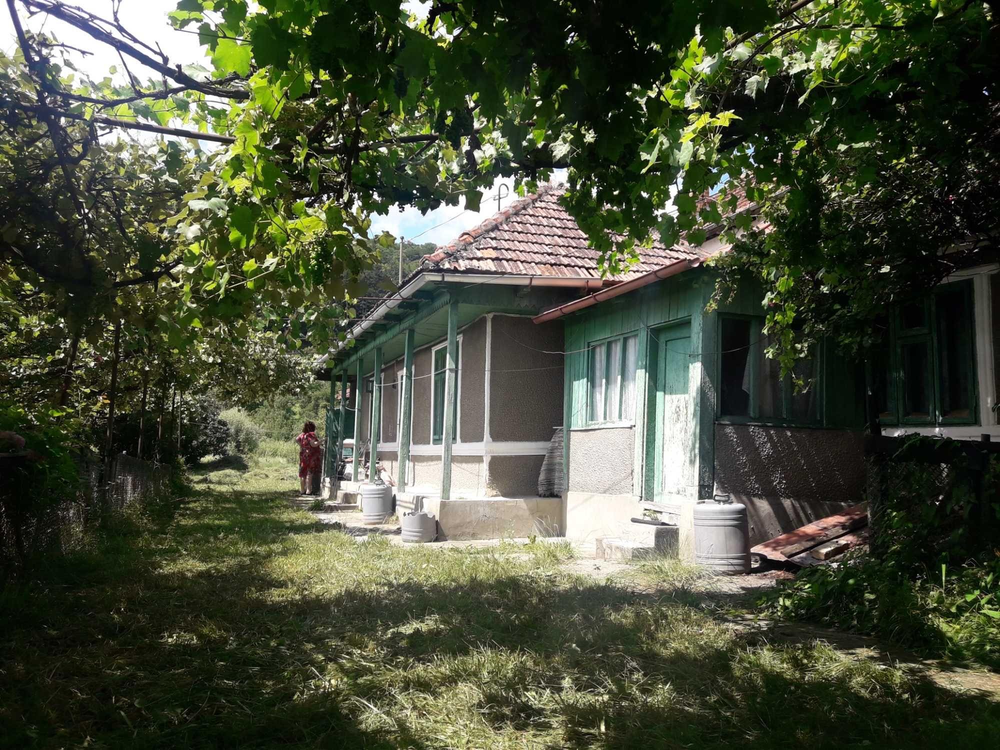 Vând proprietate în Piatra Neamț
