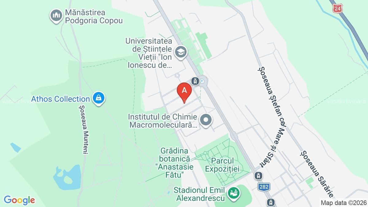 Ofer spre închiriere spațiu pentru birou, Copou