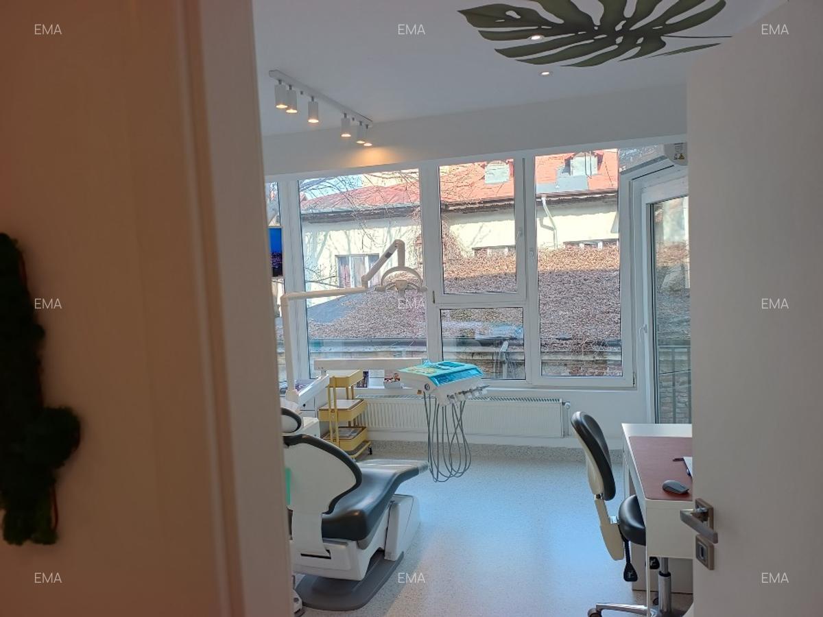 Proprietar vand doua vile in zona Calea Plevnei - imagine 1