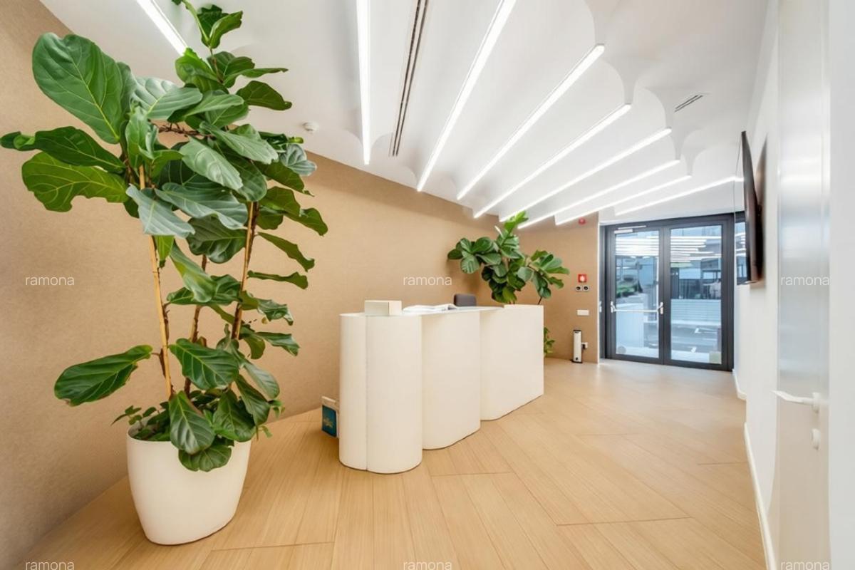inchiriere spatiu Comercial/Birouri in anasamblul Cortina North