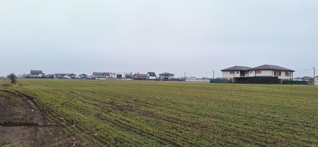 Vând teren intravilan Comuna Berceni