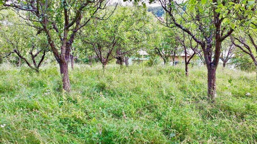 Morilor Teren constructii intravilan 3600mp