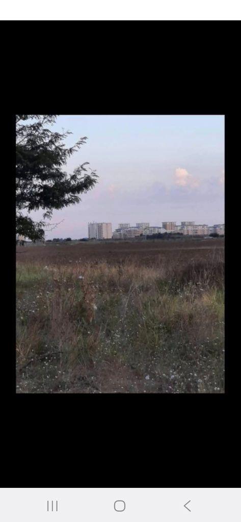 Teren de vanzare-2 parcele de 750mp fiecare, Tunari