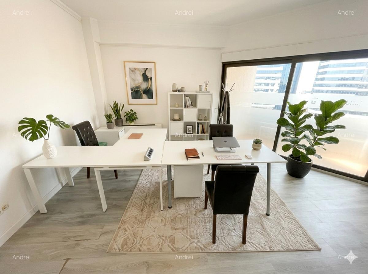 BOUTIQUE EXECUTIVE OFFICE | PIPERA – AUREL VLAICU | BUSINESS ADDRESS WITH PRESEN