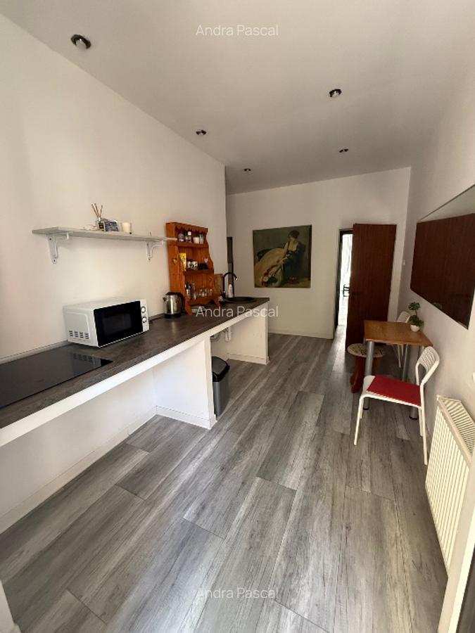 Apartament ultracentral pet friendly Timișoara
