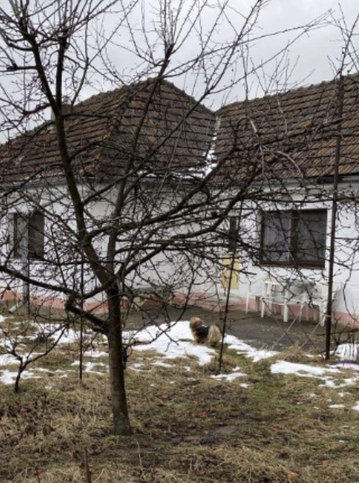 Proprietar vand casa individuala Craiter-Brasov - imagine 1