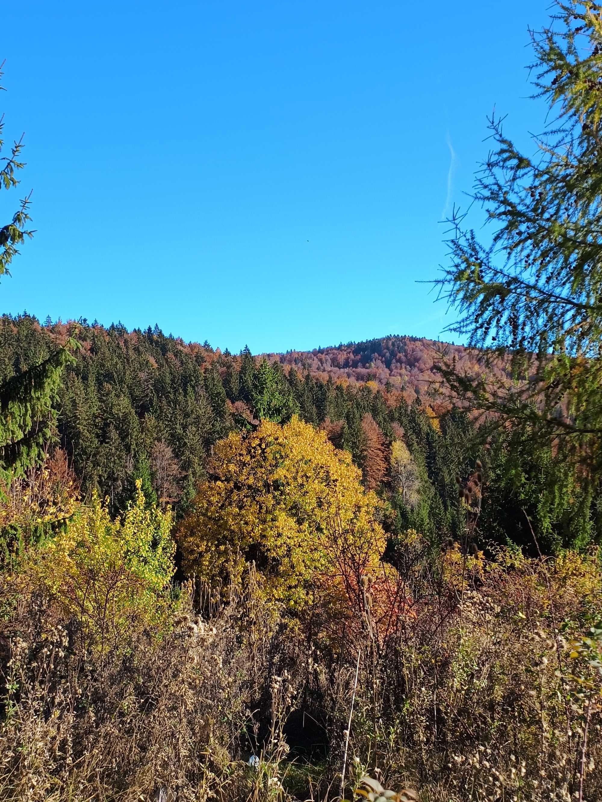 Teren la munte intre Breaza si Sinaia