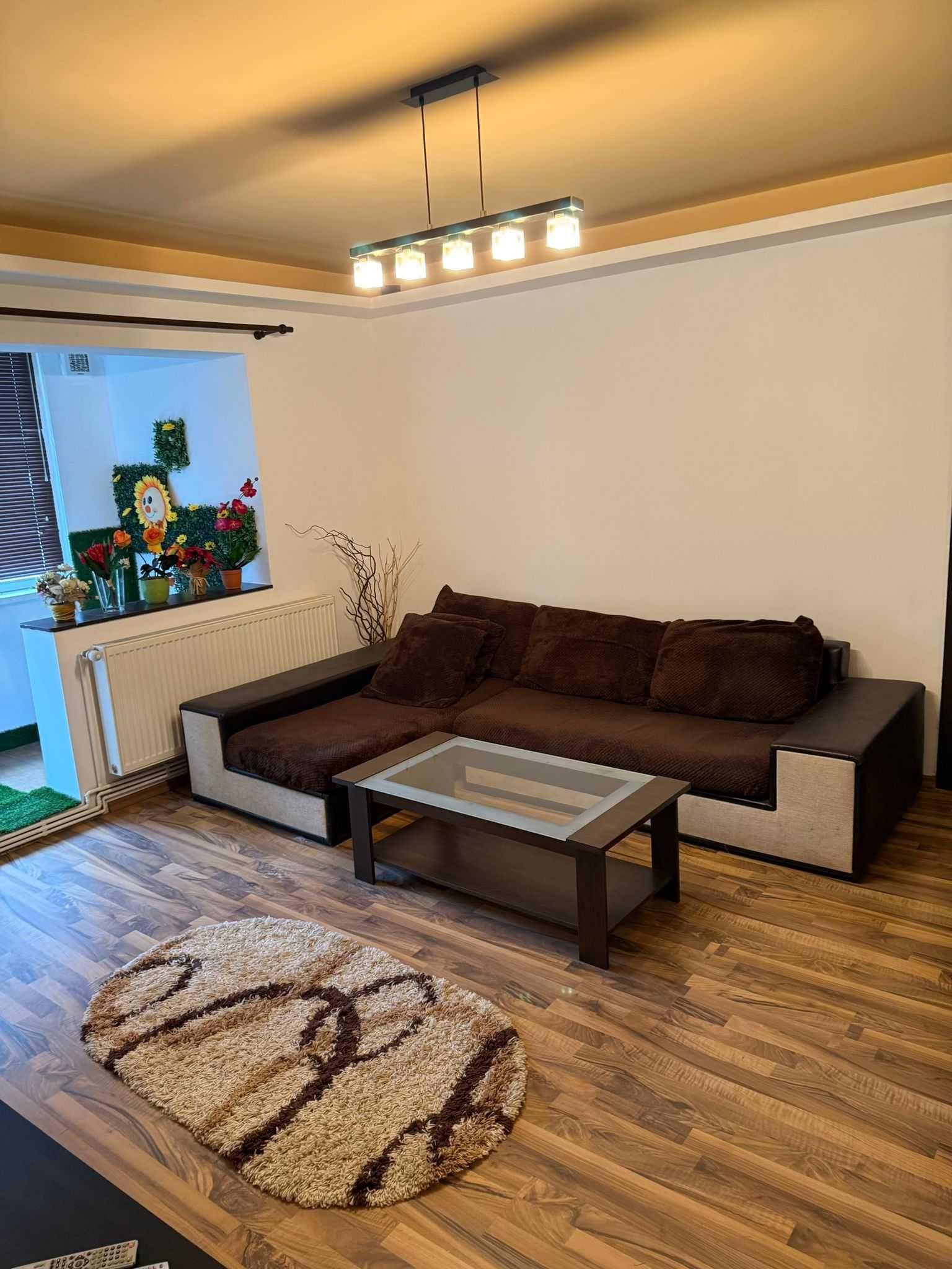 Apartament 2 camere, Parter, Banat